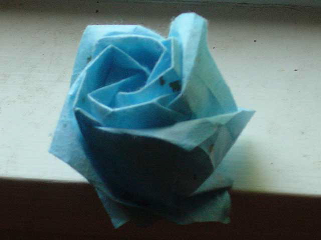 blue_new_kawasaki_rose