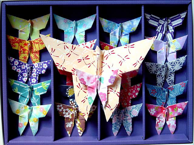 butterfly_collection