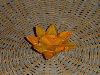 lotus_blossom