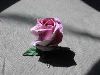 pg_kawasaki_rose_new